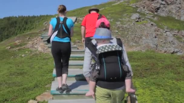 Hikers on skyline trail — Stock Video