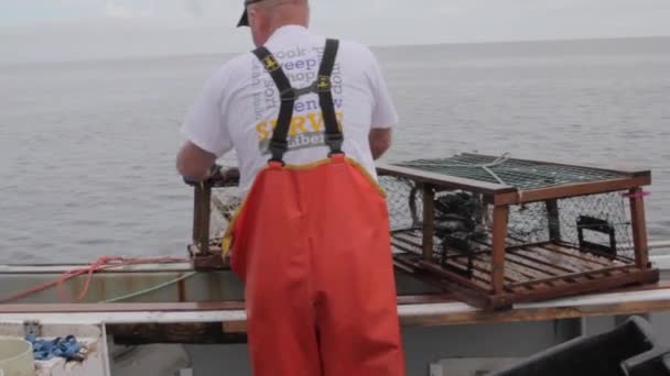 Pescador de langosta sacando sus trampas — Vídeos de Stock