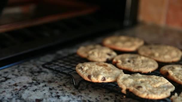Cookies on the cooling rack — Stock Video