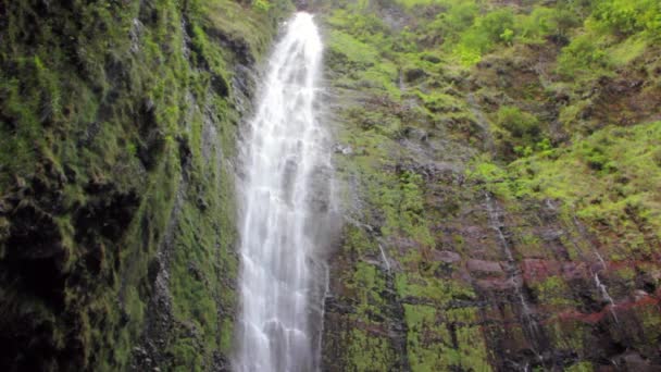 Jungle waterfall on the island — Stock Video