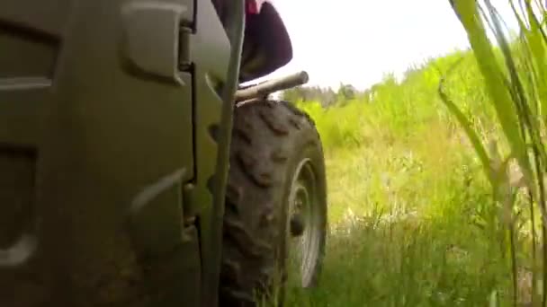 Rhino vier wheeler drijven op weg — Stockvideo