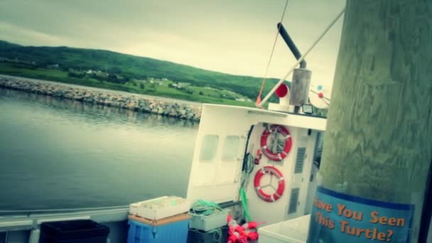 Grand-mère, mère et bébé au bateau — Video