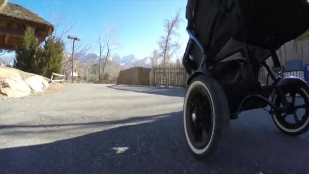 Mutter schiebt Kinderwagen — Stockvideo