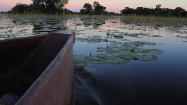 Barco que se move através do lago — Vídeo de Stock