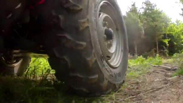 A rhino four wheeler — Stock Video