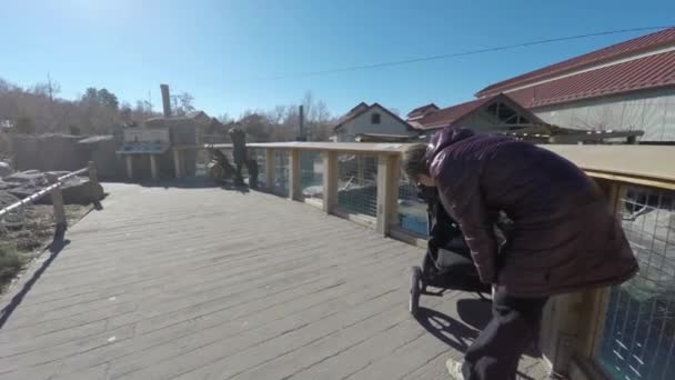 Moeder wandelingen met een baby — Stockvideo