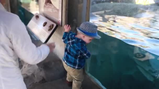 Mother and son at aquarium — Stock Video