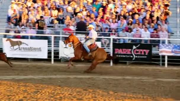 Old time rodeo — Stock Video