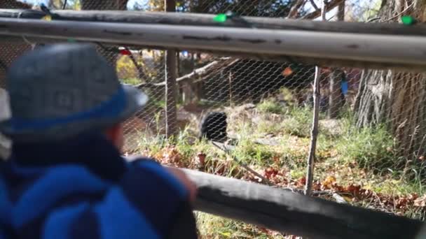 Una familia disfrutando de un día en el zoológico — Vídeos de Stock