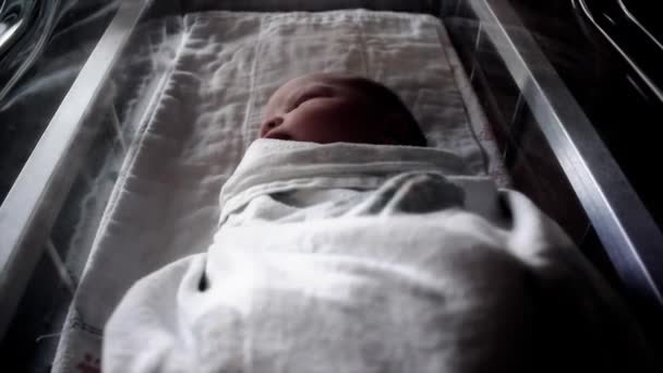 Новорожденный спит в больничной кроватке — стоковое видео