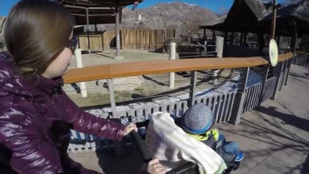 Mãe e menino assistir elefantes — Vídeo de Stock