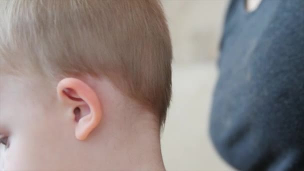 Woman cuts hair of a toddler — Stock Video