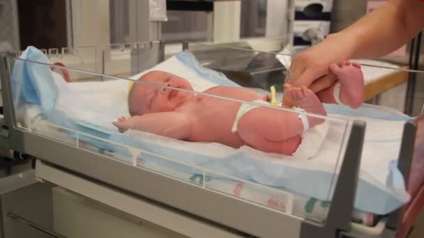 Baby being cleaned by the nursing staff — Stock Video