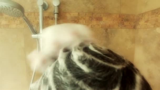 Manusia menggunakan shampo — Stok Video