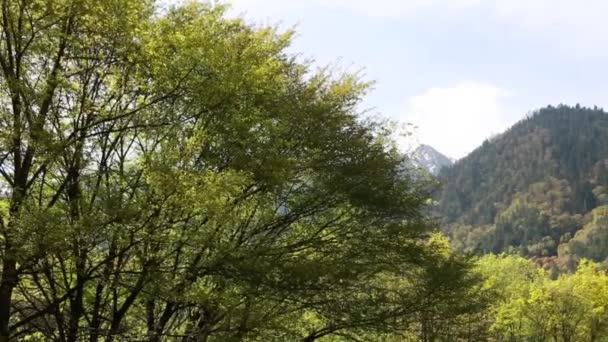 Hermoso valle juizhaigou — Vídeo de stock