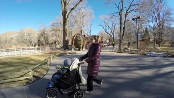 Moeder duwen een wandelwagen — Stockvideo