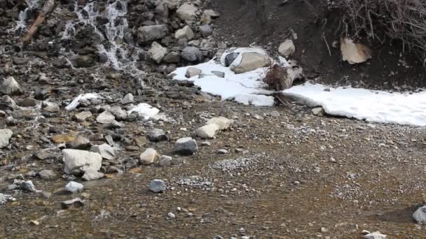 Derretimiento de nieve forma un arroyo — Vídeos de Stock