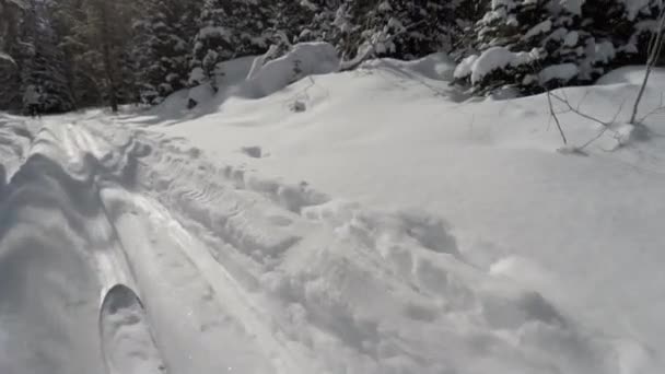 越野滑雪 — 图库视频影像