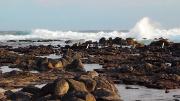 Συντριβή κύματα του ωκεανού στην ακτή — Αρχείο Βίντεο