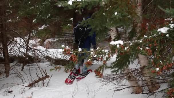 Een man wandelen in sneeuwschoenen — Stockvideo