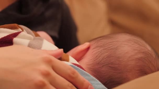 彼女の生まれたばかりの赤ちゃんの男の子を看護の母 — ストック動画