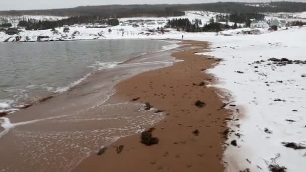 Az ember egy hideg havas téli beach — Stock videók