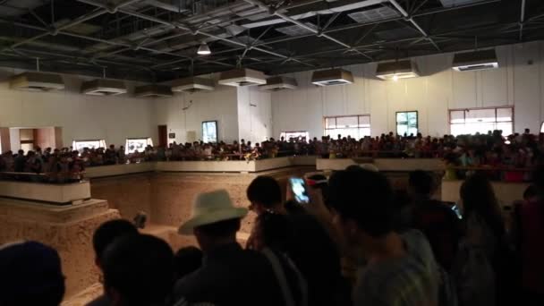 Turistas en el Museo del Guerrero de Terracota — Vídeos de Stock