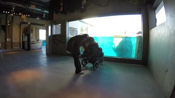 Mãe com seu filho assistindo em selos — Vídeo de Stock