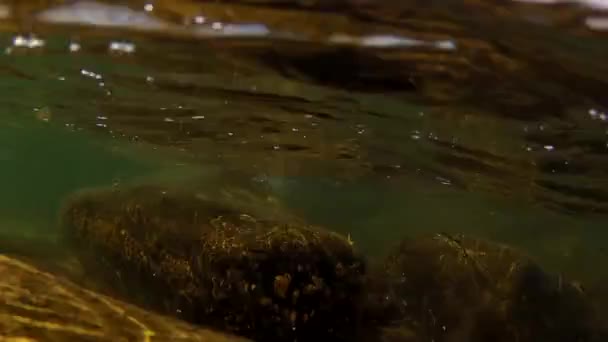 Vagues s'écrasent sur le rivage de l'océan — Video