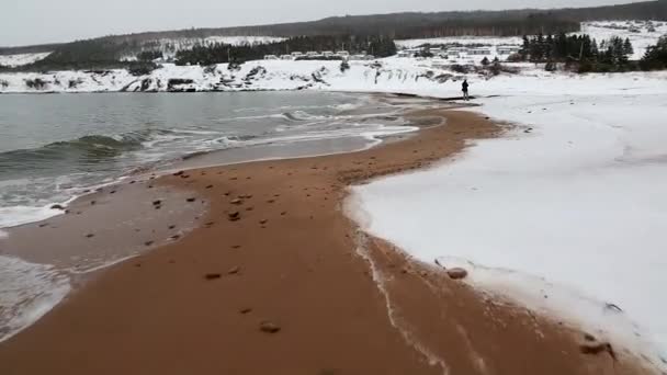 Férfi séta a téli beach — Stock videók