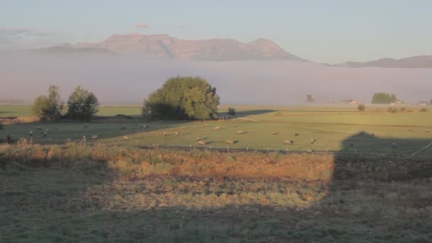 美丽的景色，洛基山脉 — 图库视频影像
