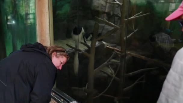 Grootmoeder, moeder en baby in de dierentuin — Stockvideo