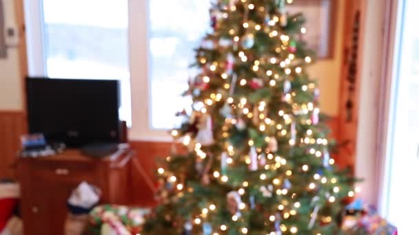 Madre e hijo junto al árbol de navidad — Vídeo de stock