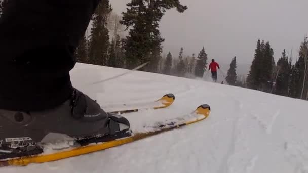 Sciatori in una bufera di neve invernale — Video Stock