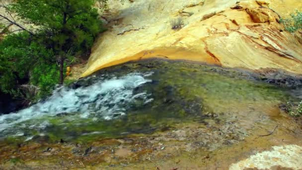 Waterval en oase in park — Stockvideo