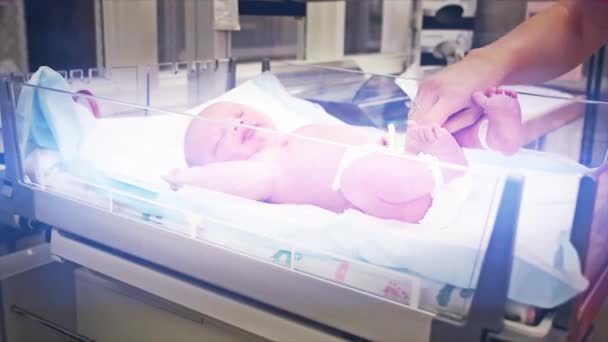 Bebê sendo limpo pela equipe de enfermagem — Vídeo de Stock