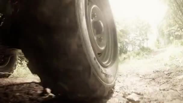 Bir gergedan dört wheeler — Stok video