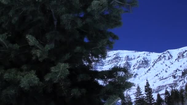 Mountain covered in snow — Stock Video