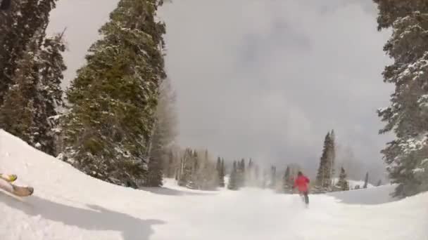 Man skidåkning på berg — Stockvideo