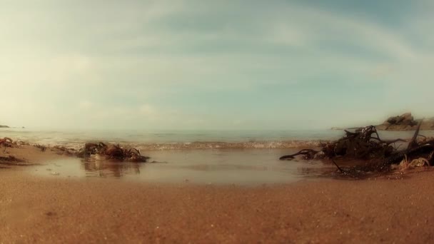 Vagues s'écrasent sur le rivage de l'océan — Video