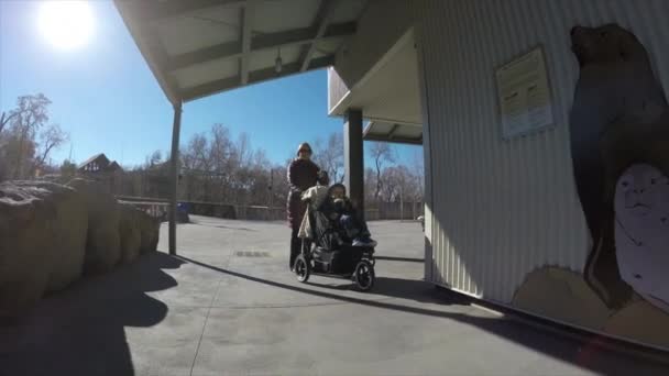 Madre empujando una silla de paseo — Vídeo de stock