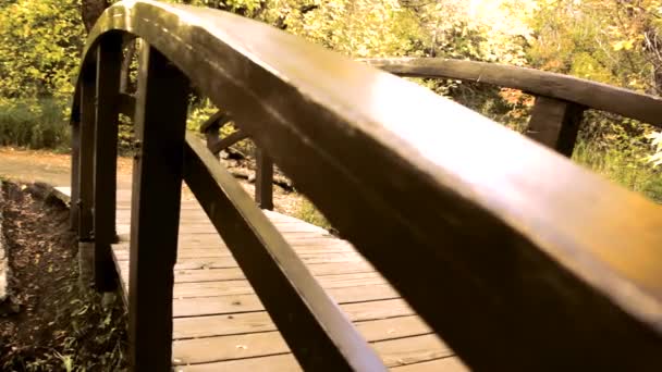 Voetgangersbrug over een bergbeek — Stockvideo