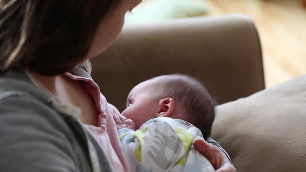 Madre lactante bebé recién nacido — Vídeo de stock