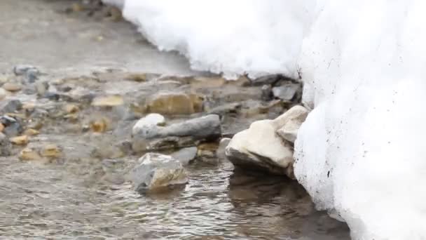 Sciogliere la neve forma un ruscello — Video Stock