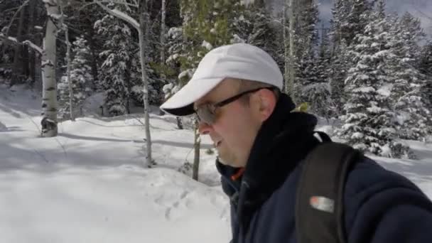 Běh na lyžích — Stock video