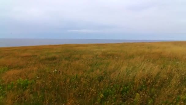 Переміщення через трави — стокове відео
