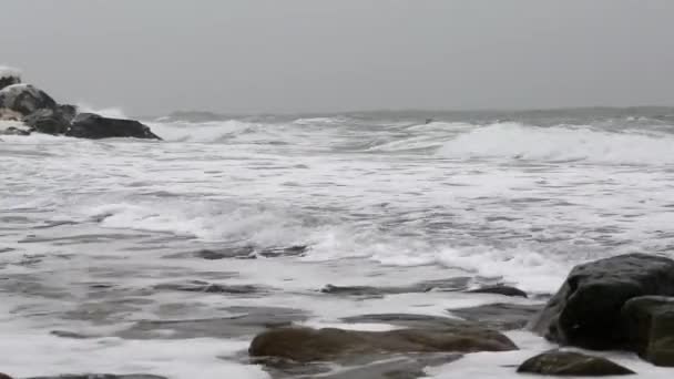 Havet skum på vintern strand — Stockvideo