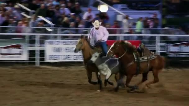 Rodeo Steer Wrestling — Stockvideo