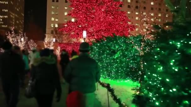 Gente disfrutando de las luces de Navidad — Vídeo de stock