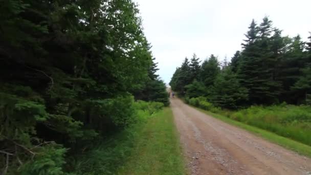 Wandelen langs een onverharde weg — Stockvideo